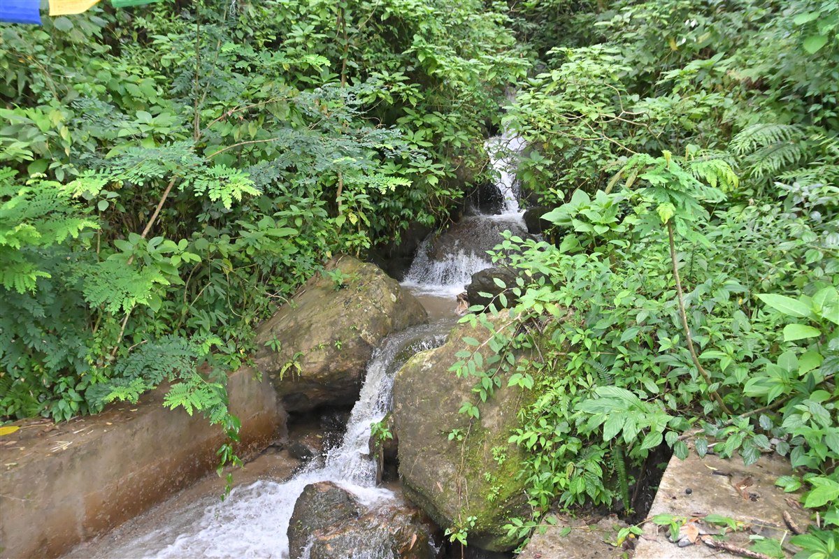 Lamahatta Eco Park – Forest Waterfall and Mountain Stream