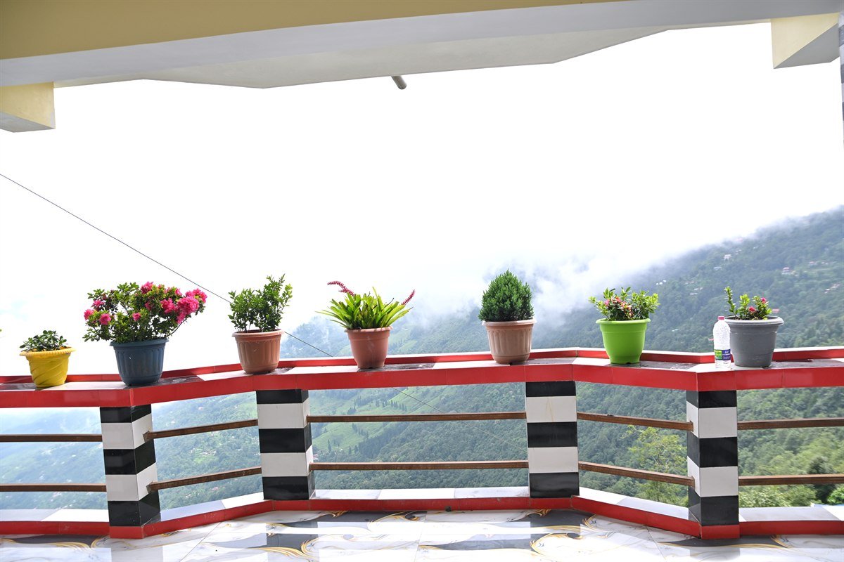 Panoramic Mountain Balcony with Blooming Flower Pots
