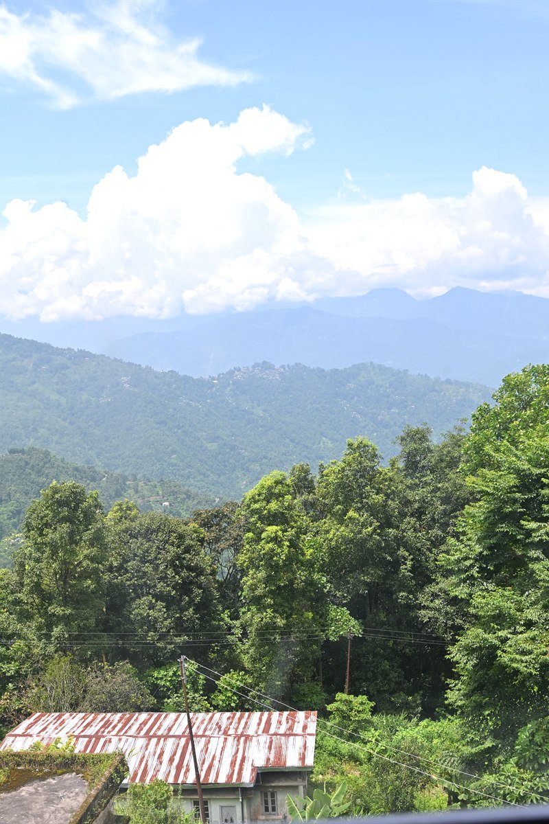 Takdah Homestay – Panoramic Kanchenjunga View Window